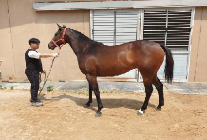 ������� ����