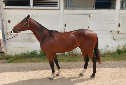 ���� ����