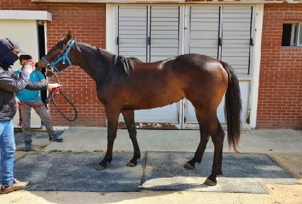 ��ĳ�� ����