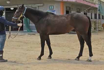 �ݸ�Ÿ�� ����