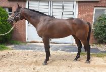 Ŭ���巯�� (CLOUD LOVE) ����