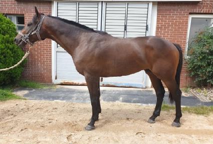 Ŭ���巯�� ����