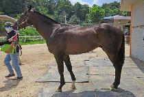 Ŭ���峪�� (CLOUD NINE) ����