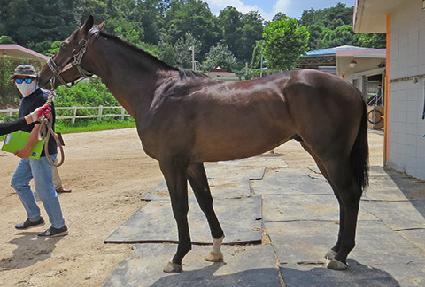 Ŭ���峪�� ����