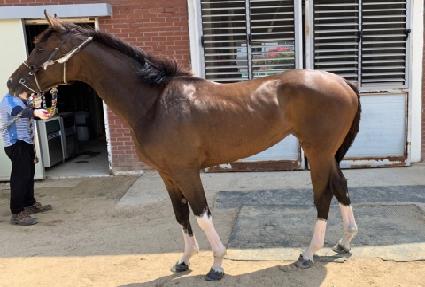 ���ĺ�� ����