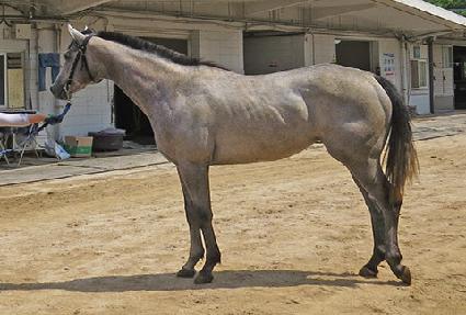 �Ⱦ����ݱ� ����