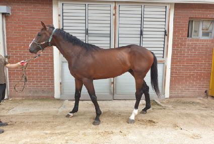 Ȳ����� ����