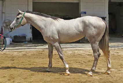 ������� ����