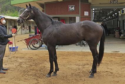 ��Ʈ�Ŀ� ����