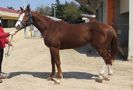 ��ٸ����� ����