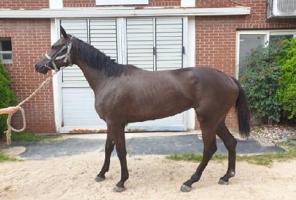 ȣũ�� ����