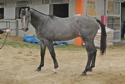 ���̳����� ����