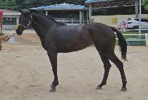 ����Ʈ�׸� (SMART GREEN) ����