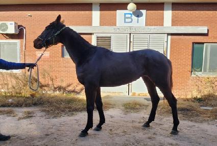 �׷���Ʈ���� ����