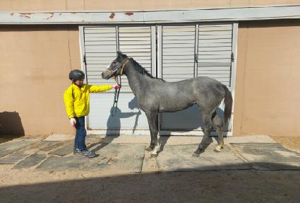 ����Ŭ����Ĺ ����