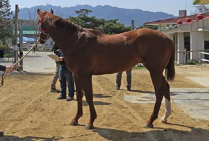 �Ѱ����̽� ����