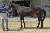 ũ���������� (CRAZY LOVE) ����