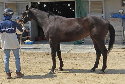 ũ���������� ����