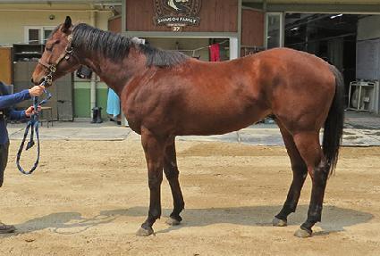 ť�ǵ������ ����