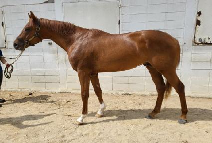 ��극�� ����