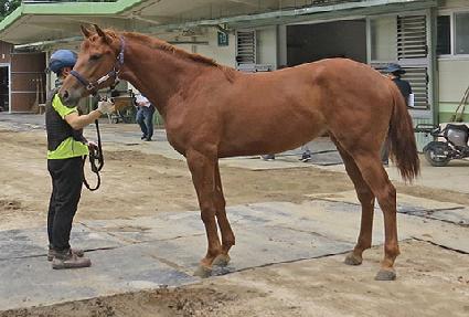 ������ǳ ����