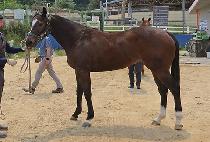 �׷��̽����� (GRACE K) ����