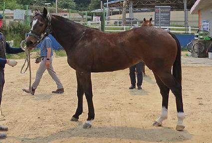 �׷��̽����� ����