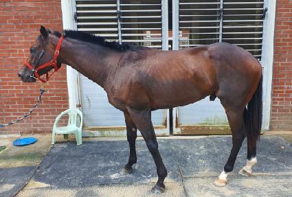 ����Ǯü��Ű ����