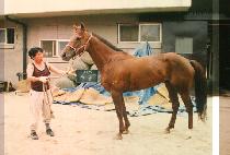 �ݺ� (KEUM BONG) ����