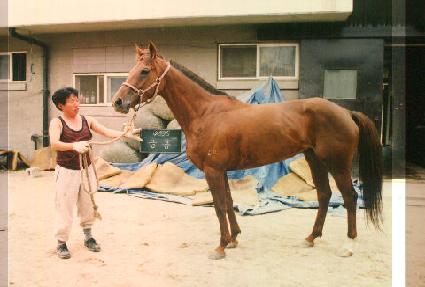 �ݺ� ����