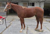 �Ƹ���ž (ARGO TAP) ����