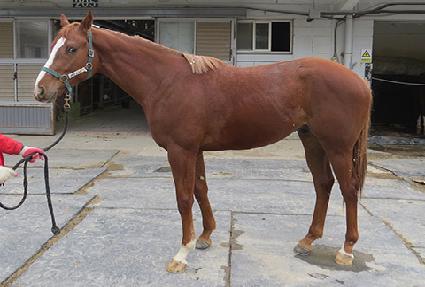 �Ƹ���ž ����