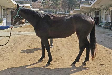 �ݵ���� ����