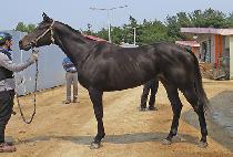 ����Ʈ��ġ (BEST RICH) ����