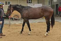 �̴ٳ��� (E-DANAEUN) ����