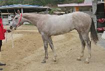 ȭ��Ʈ�ѹ��� (WHITE NUMBER ONE) ����