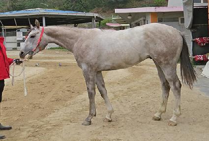 ȭ��Ʈ�ѹ��� ����