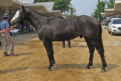 ����ƮŬ�� ����