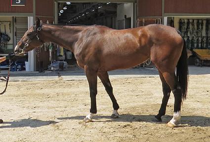 ������ ����