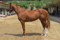 GEUMBIT CHEONHA picture