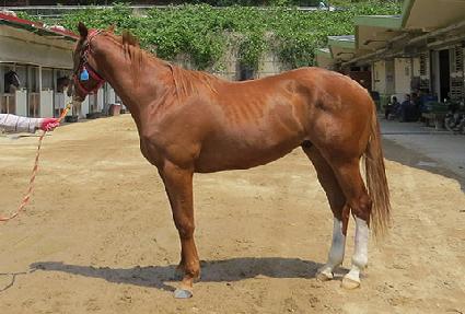 �ݺ�õ�� ����