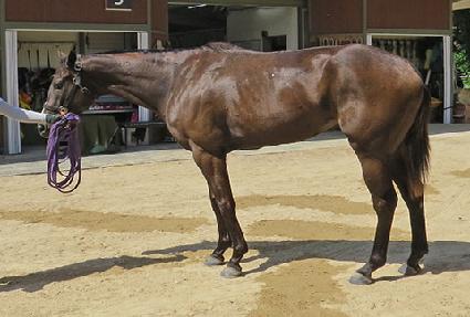 ��ī���� ����