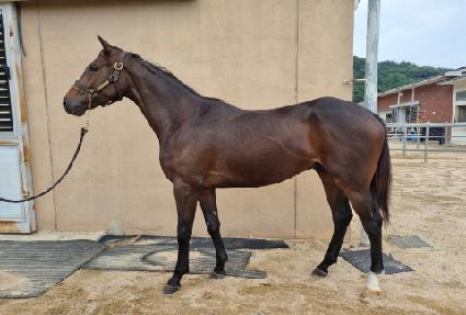 �������� ����