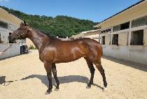 ����ũ���� (TAKE FORTUNE) ����