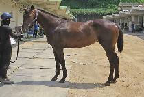 ������� (HERO QUEEN) ����