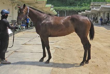 ������� ����