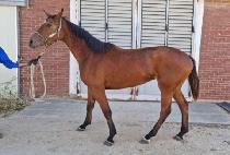 ��ȭ�ô� (YEONHWA SIDAE) ����