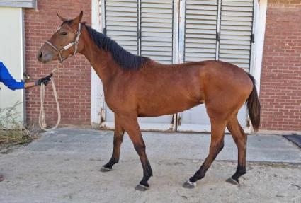 ��ȭ�ô� ����