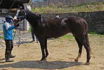 P N S BEONJJEOK picture