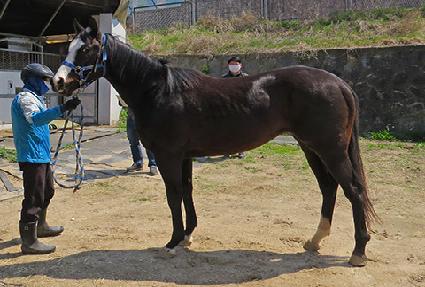 �ǿ�������½ ����